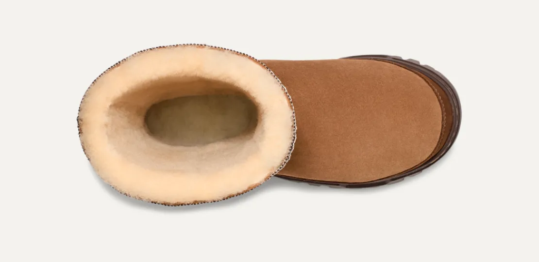 Toutes Les Bottes | Bottes Classic>UGG Femme Botte Classic Tall TrailGazer chestnut