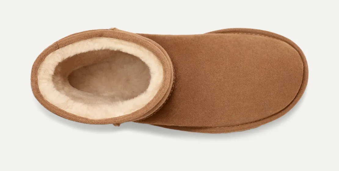 Toutes Les Bottes | Bottes Classic>UGG Homme Botte Classic Short chestnut