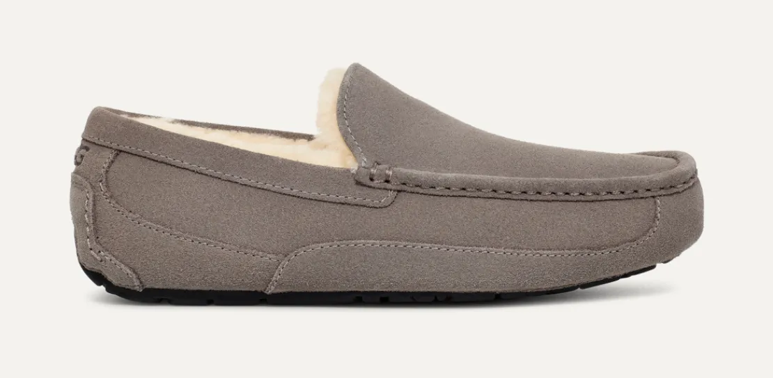 Mocassins Et Chaussures | Chaussons>UGG Homme Chausson Ascot grey