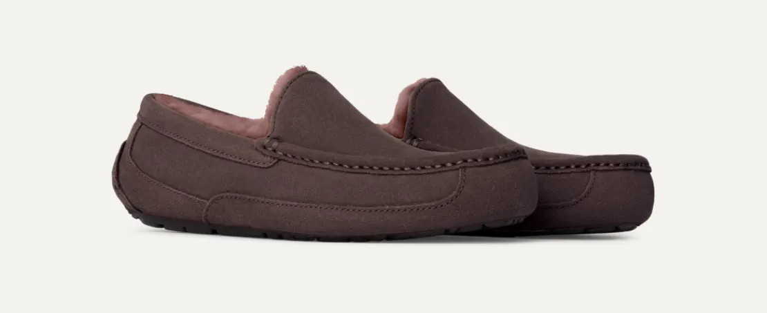 Mocassins Et Chaussures | Chaussons>UGG Homme Chausson Ascot dustedcocoa