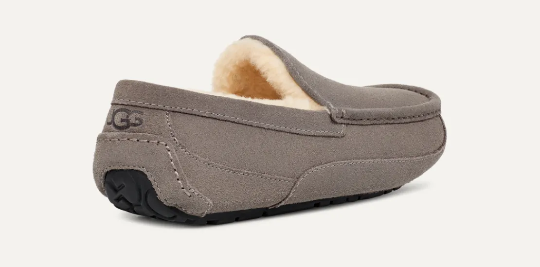 Mocassins Et Chaussures | Chaussons>UGG Homme Chausson Ascot grey