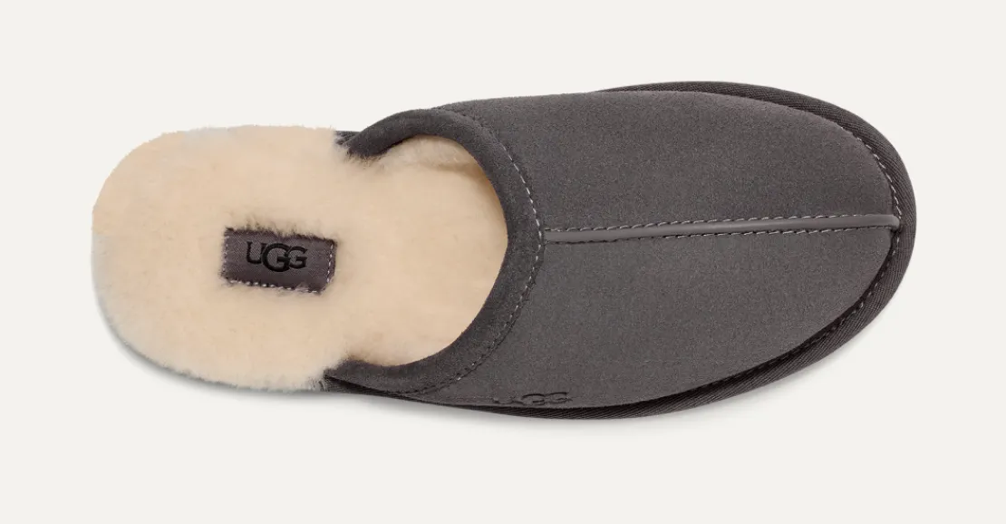 Chaussons>UGG Homme Chausson Scuff darkgrey