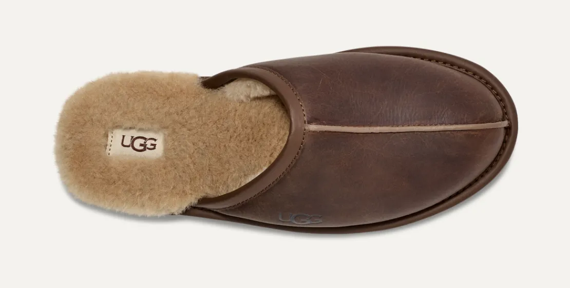 Chaussons>UGG Homme Chausson Scuff tan