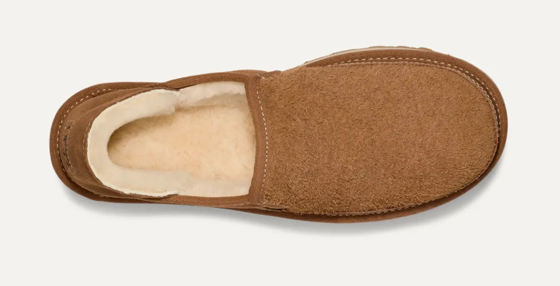 Mocassins Et Chaussures>UGG Homme Hayden Slip-On chestnut
